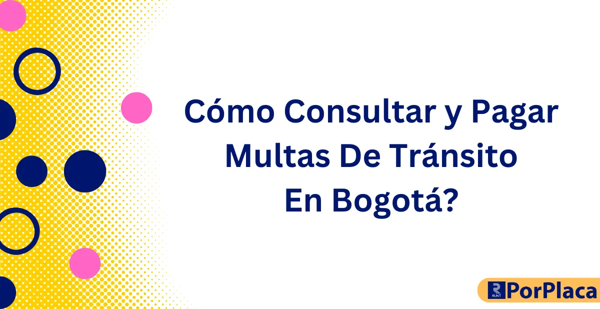 Cómo Consultar y Pagar Multas De Tránsito En Bogotá